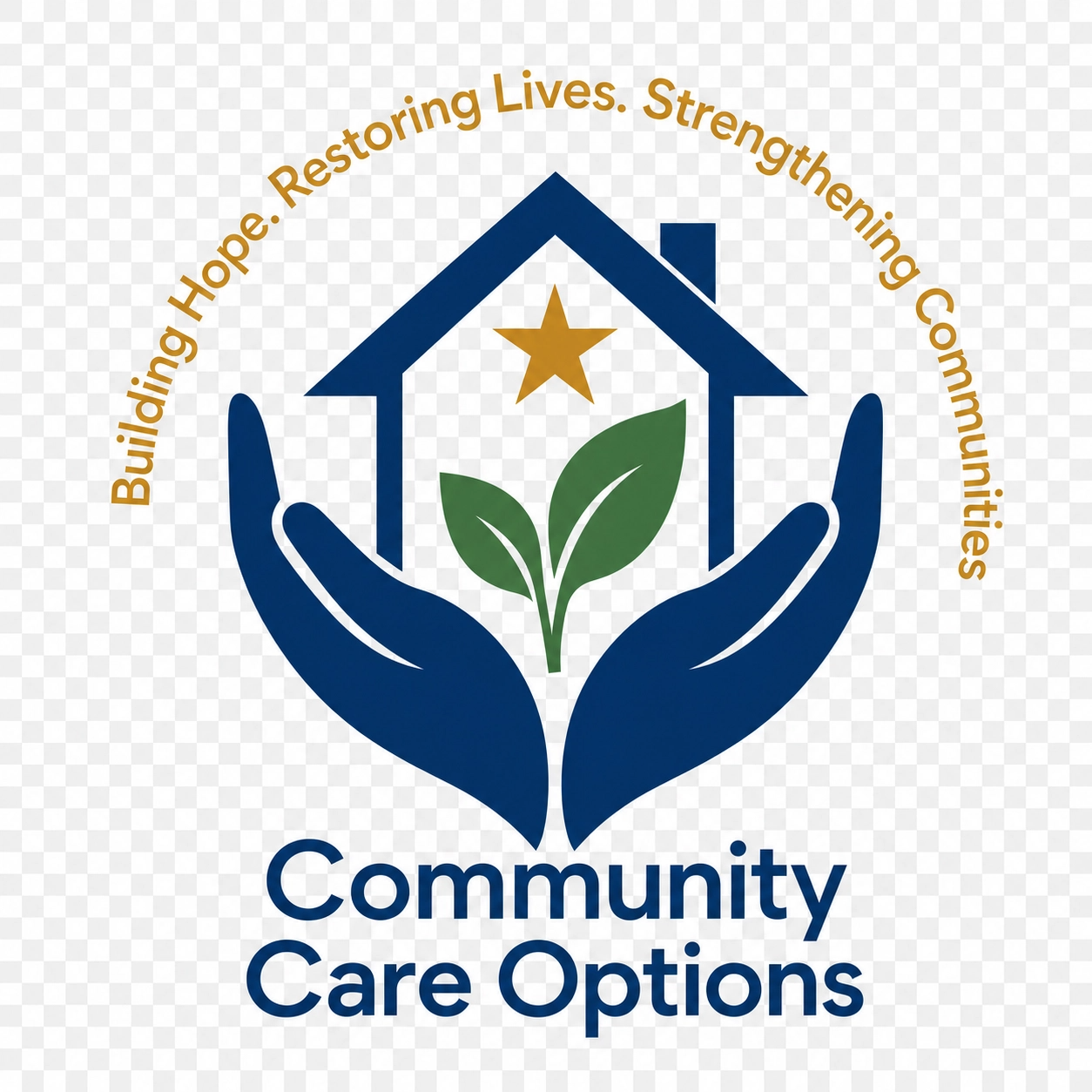 Community Care Option Services